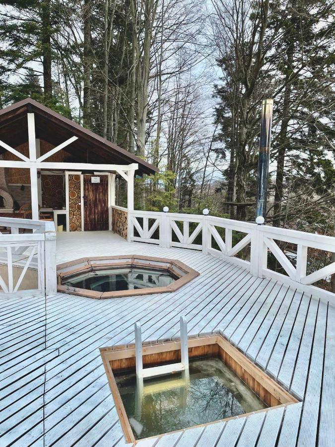 Chalet Mlyn Migovo Luaran gambar